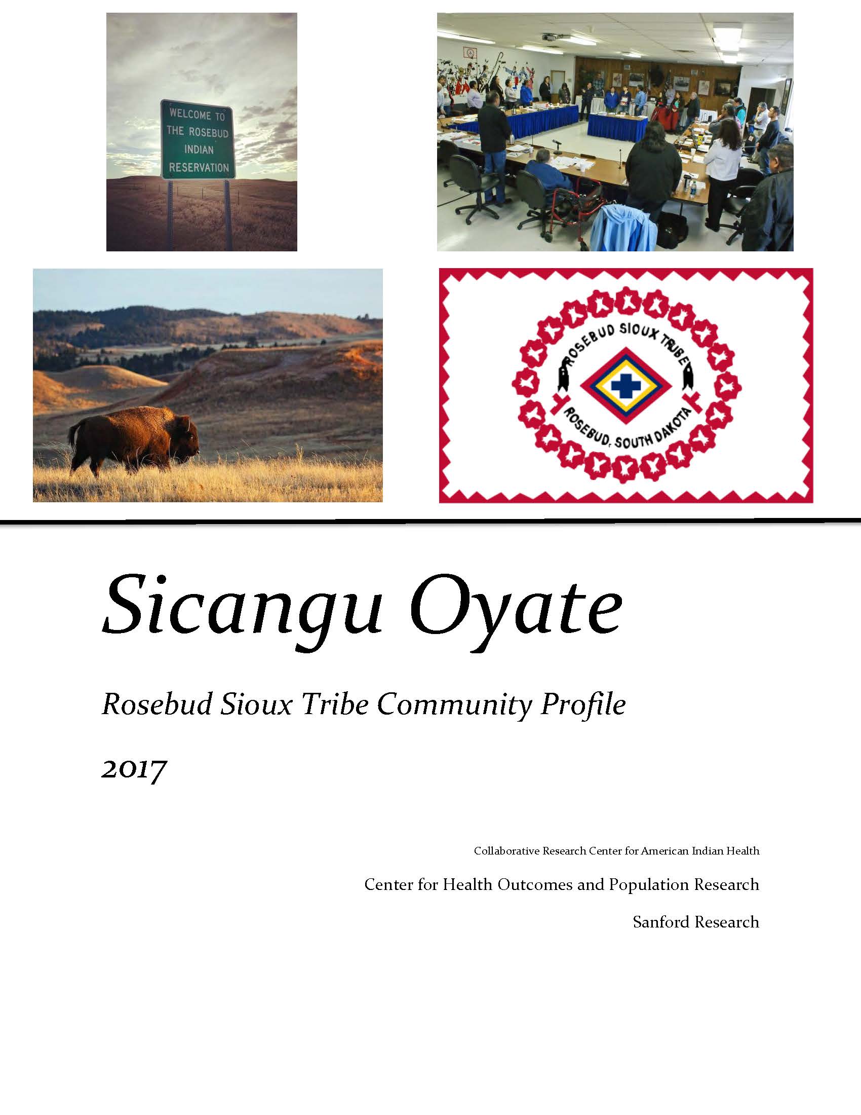 RST Community Profile FINAL Page 01