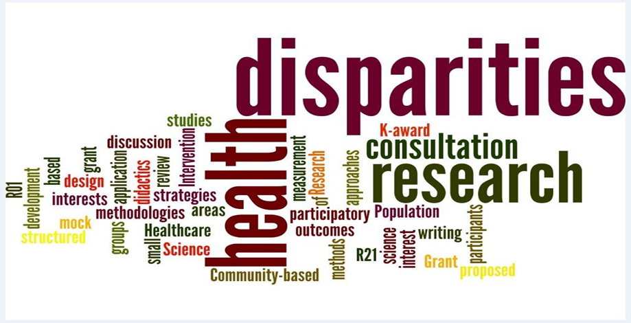 wordcloudhealthdisparities